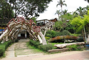 台南大坑休閒農場-免費入園+午/ 晚餐